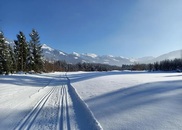 Reiterhof 公寓 韦斯滕多夫